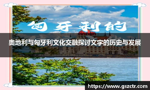 DG视讯