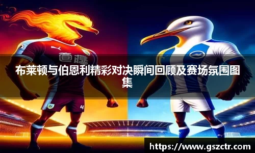 DG视讯官网