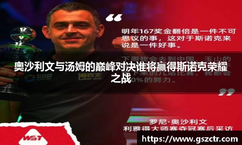 DG视讯