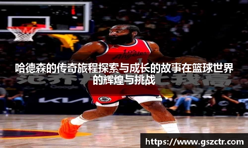 DG视讯官网